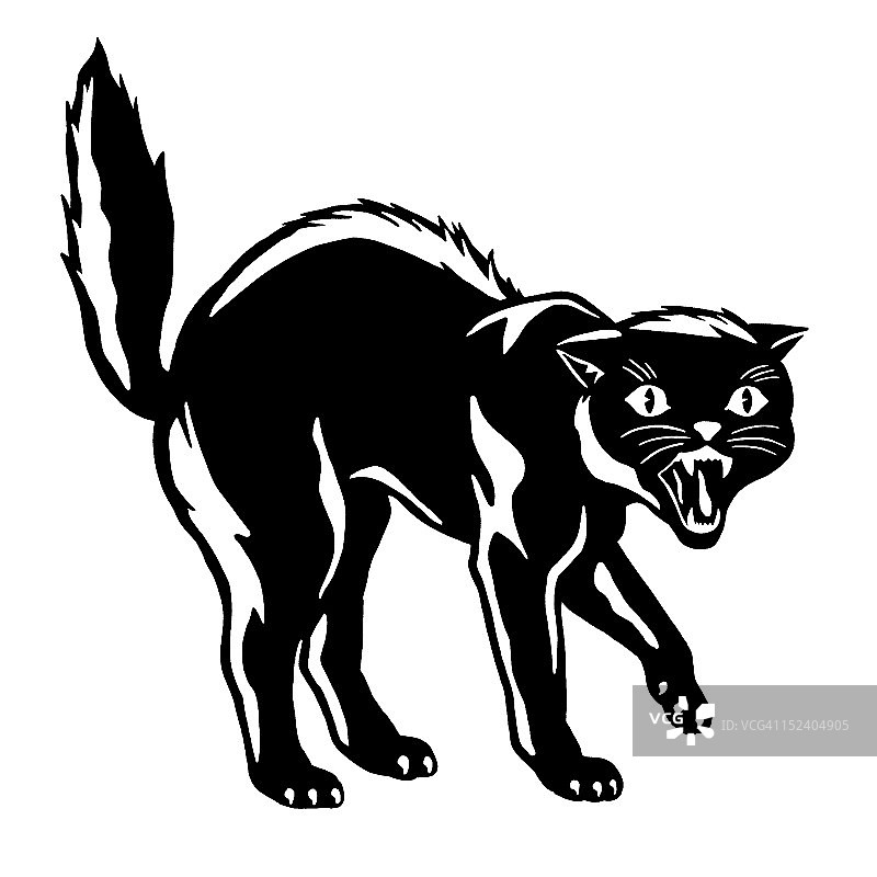 愤怒的黑猫图片素材