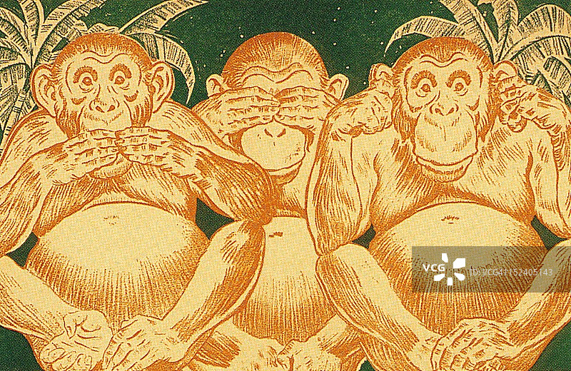 三只猴子图片素材