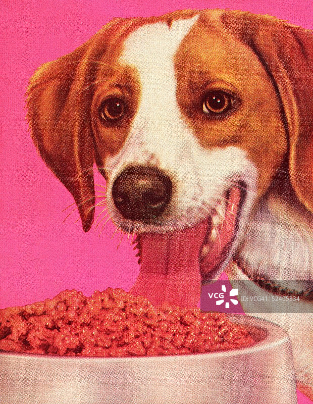 狗狗吃狗粮图片素材