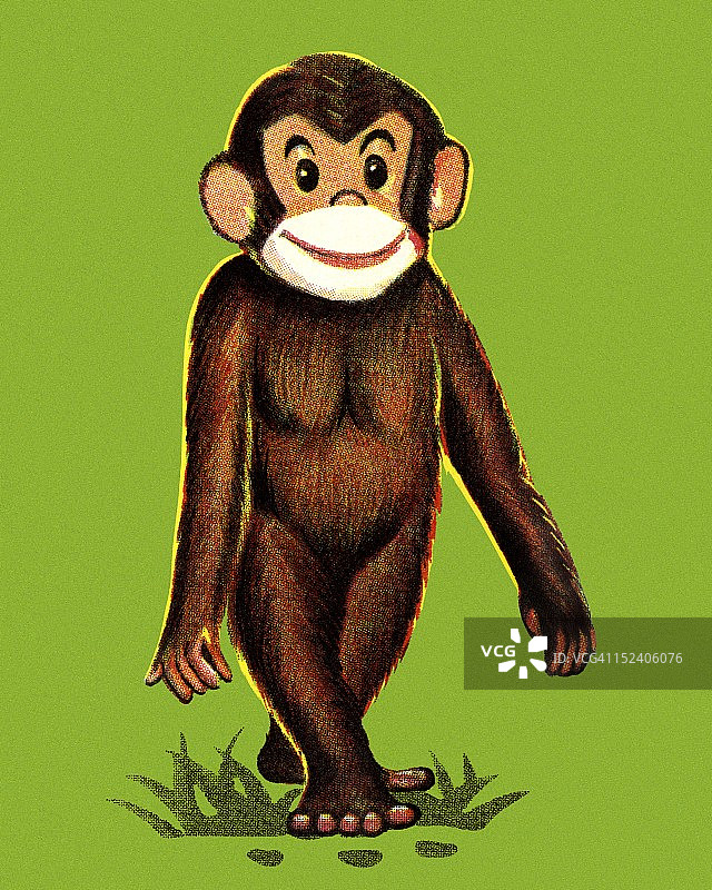 站立的猴子图片素材