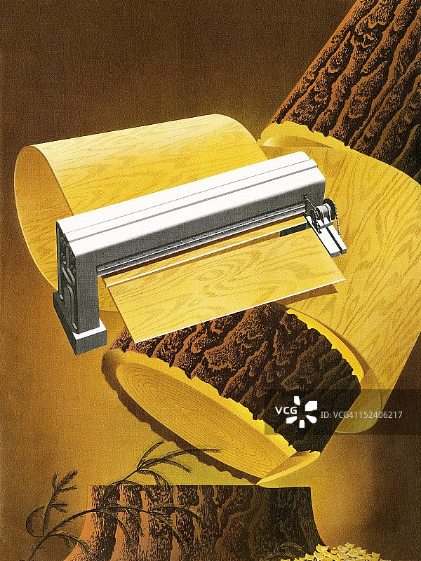 树木和木饰面图片素材