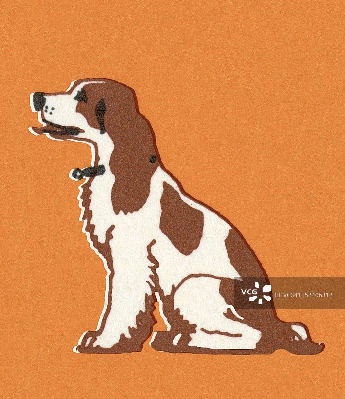 坐着的狗图片素材