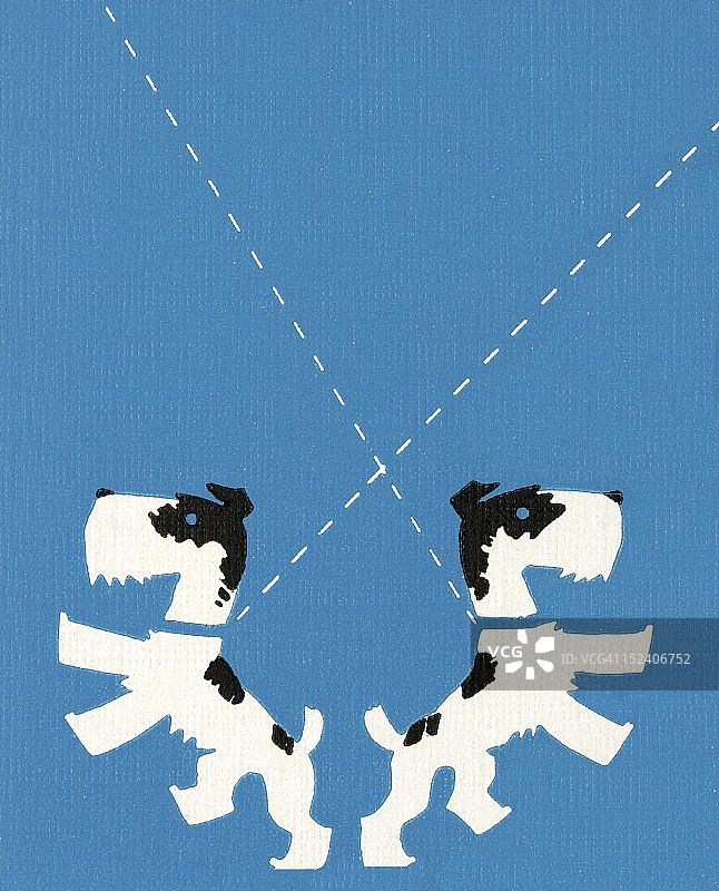 两只拴着皮带的狗图片素材