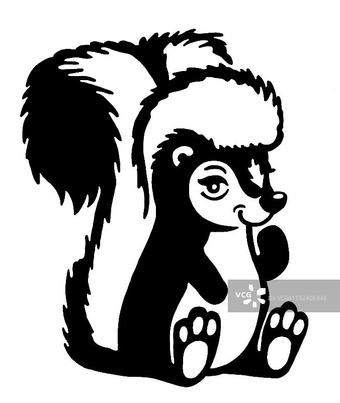 臭鼬图片素材