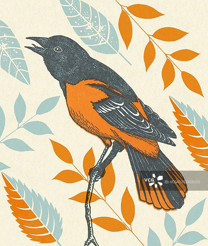 树上的小鸟图片素材