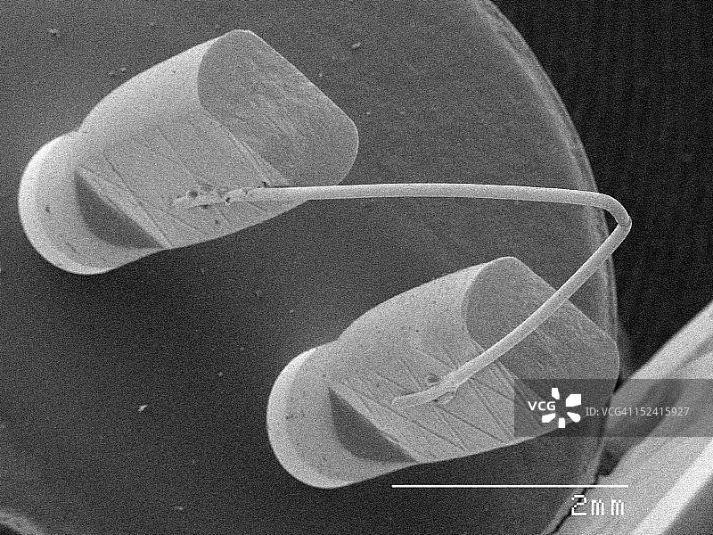 烧毁的灯丝的扫描电子显微镜照片图片素材