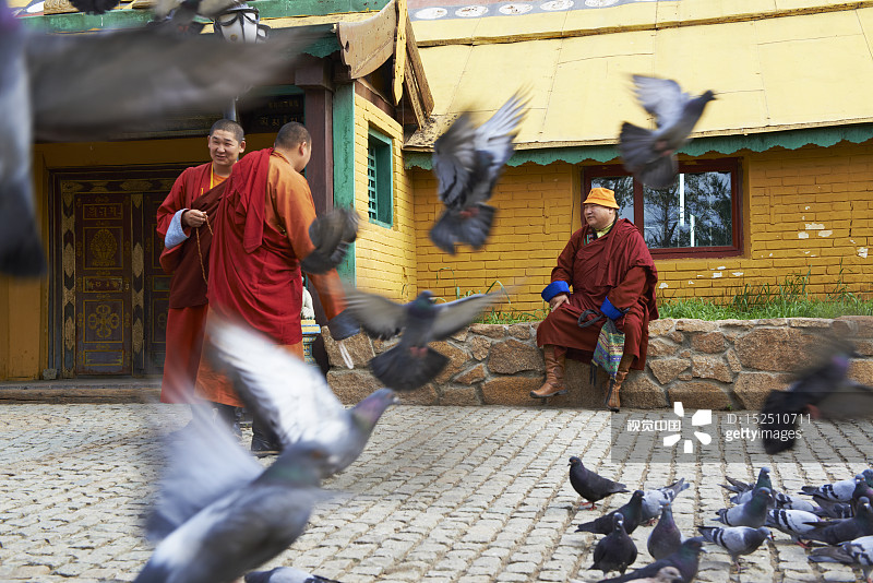 蒙古国乌兰巴托甘丹寺图片素材