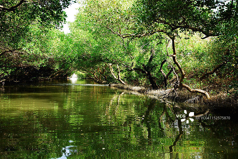 绿色隧道图片素材