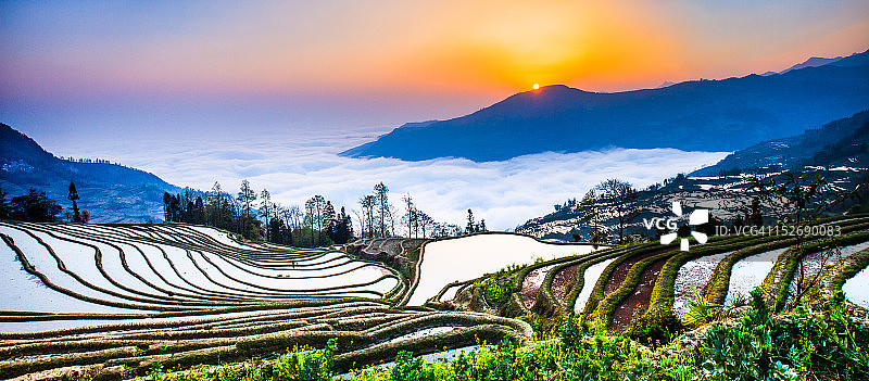 中国云南的梯田日出图片素材