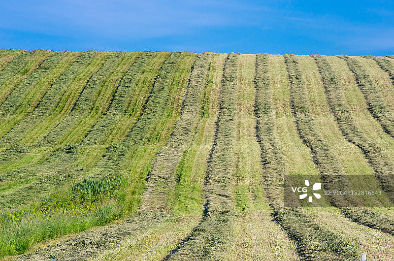 一字排开图片素材