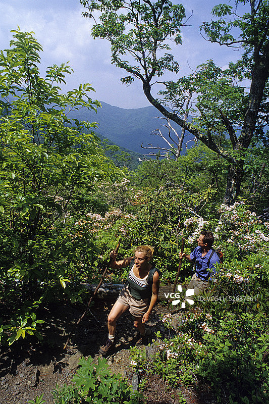 徒步者在豪伊附近的Hangover Lead South Trail上图片素材