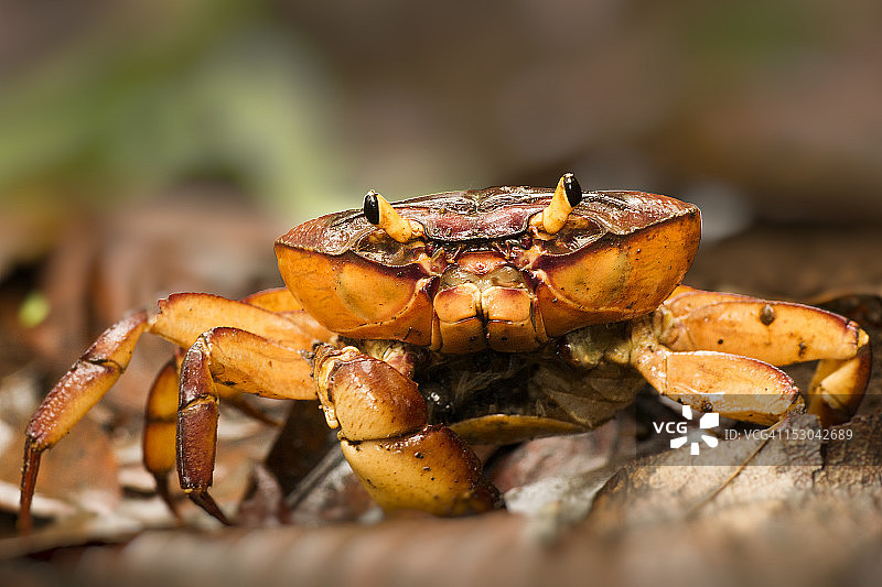 面对面图片素材
