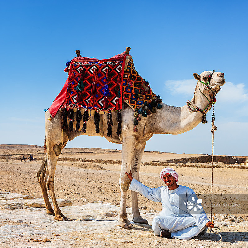 贝都因人和骆驼图片素材