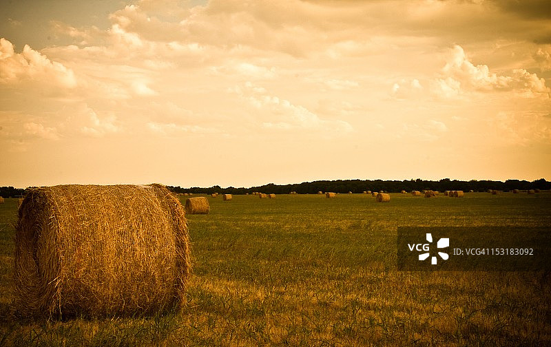 宁静的干草田图片素材