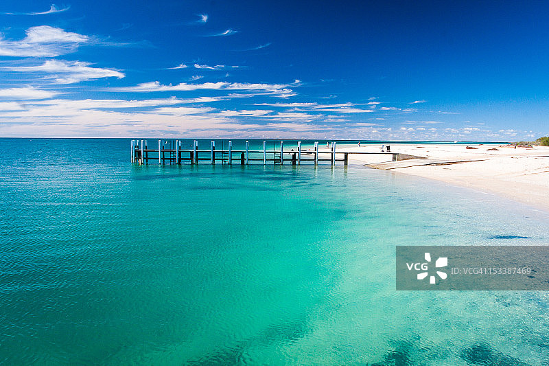 猴子米亚码头图片素材