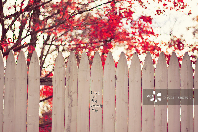 爱是最终的绊脚石图片素材