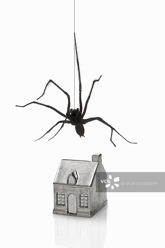 悬挂在模型房屋上方的常见家蜘蛛图片素材