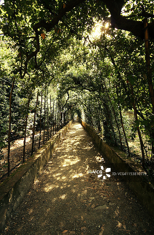 波波里花园图片素材