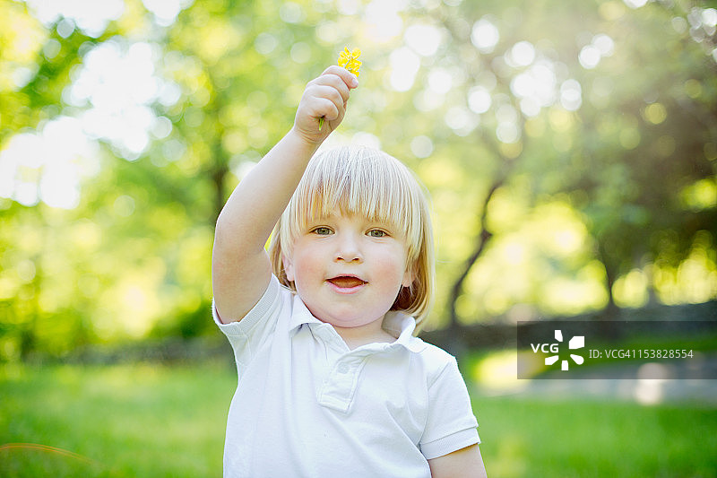 男孩拿着花图片素材