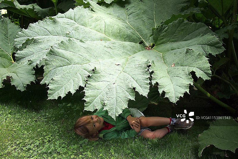 捉迷藏图片素材