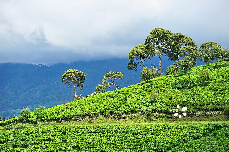 线条与构图图片素材