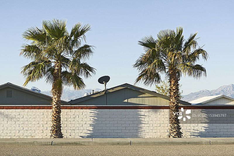 美国加利福尼亚州棕榈沙漠，房屋前的两棵棕榈树和卫星天线图片素材