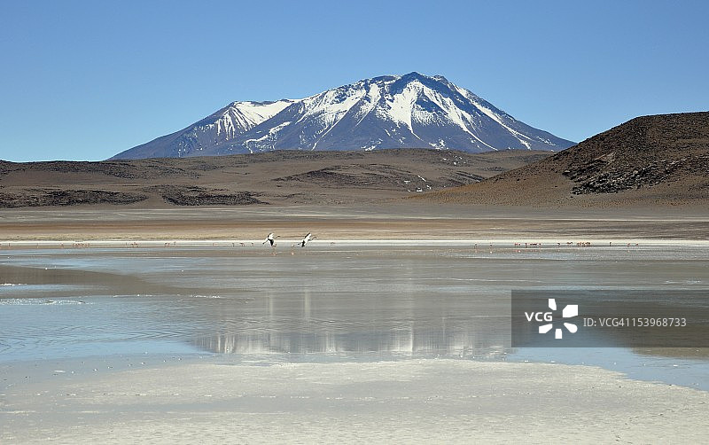 盐湖景观与火山和火烈鸟图片素材