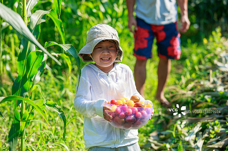 端着一碗番茄微笑的男孩图片素材