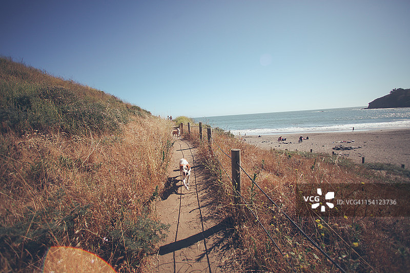 半岛：VI图片素材