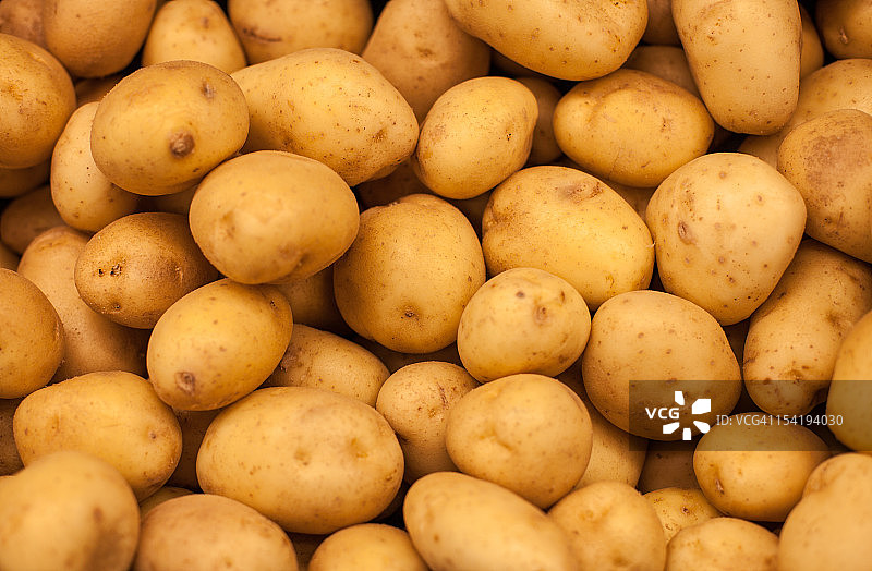 土豆图片素材