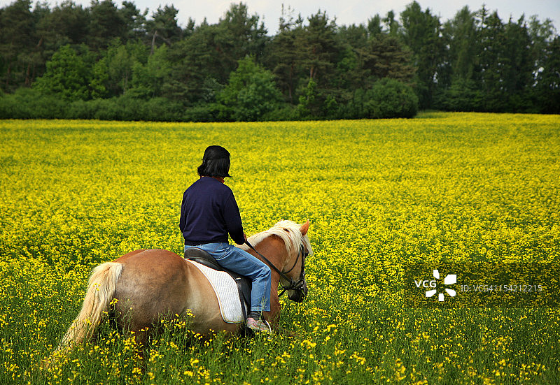在花田中骑行图片素材