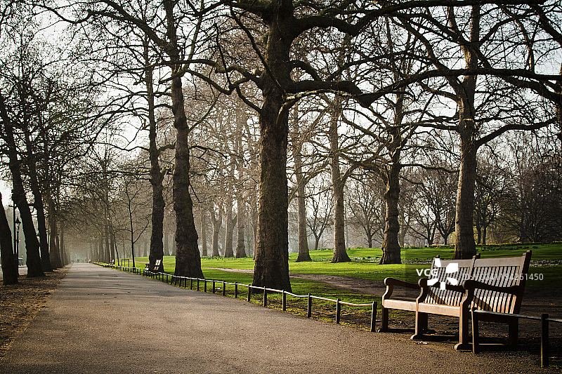 公园和长椅图片素材