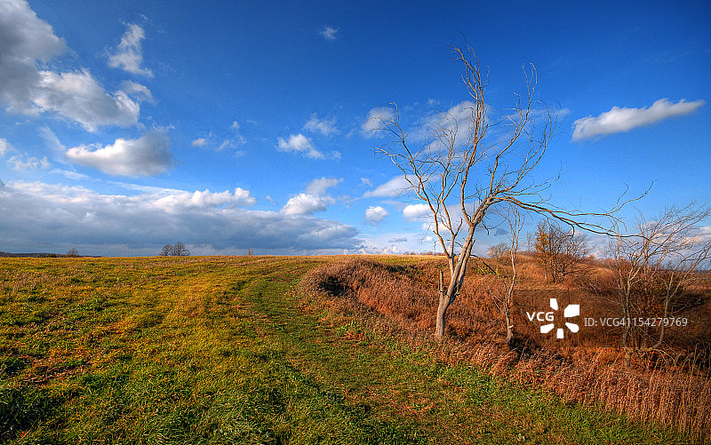 博伊恩河谷树图片素材