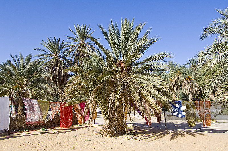 绿洲景色图片素材