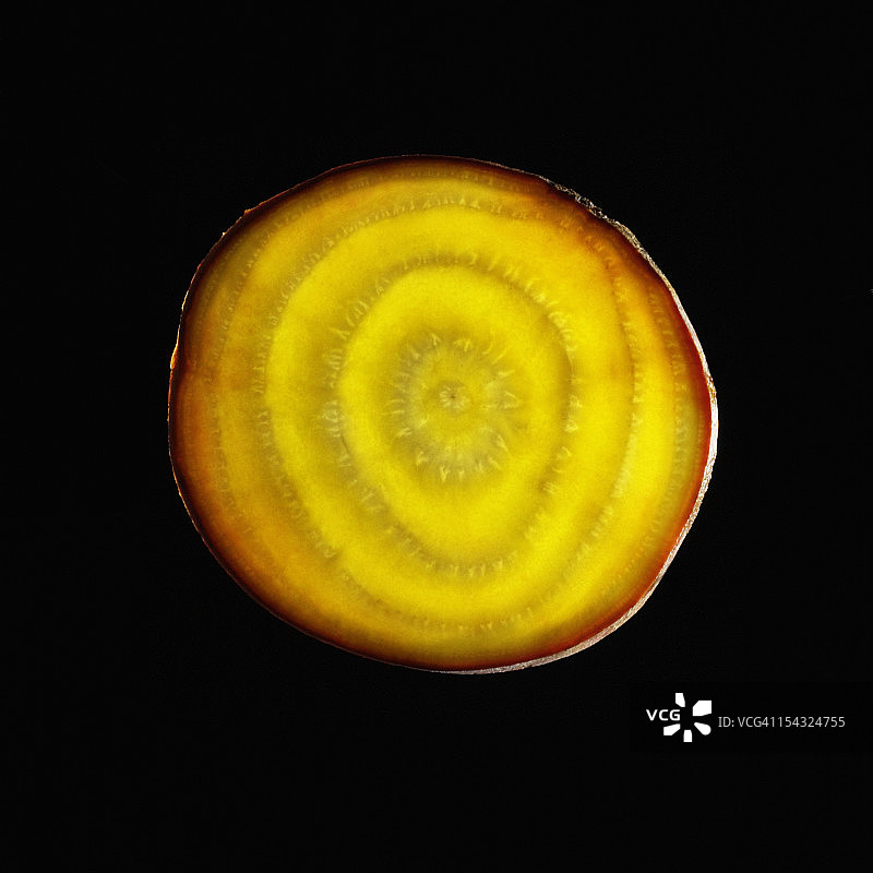 有机金色甜菜根图片素材