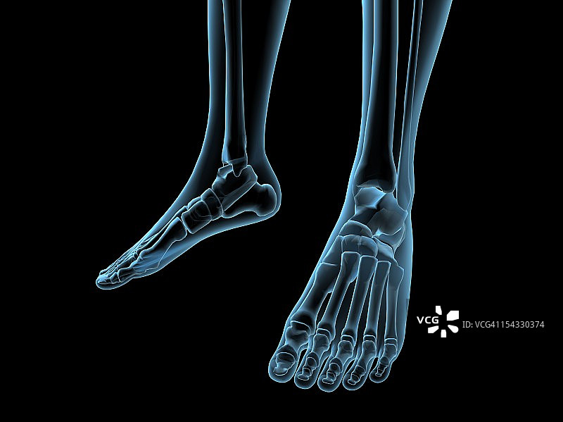 足部骨骼X光视图图片素材
