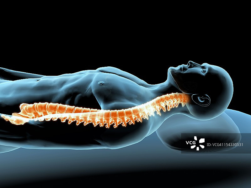 显示脊柱的男子休息X光图图片素材