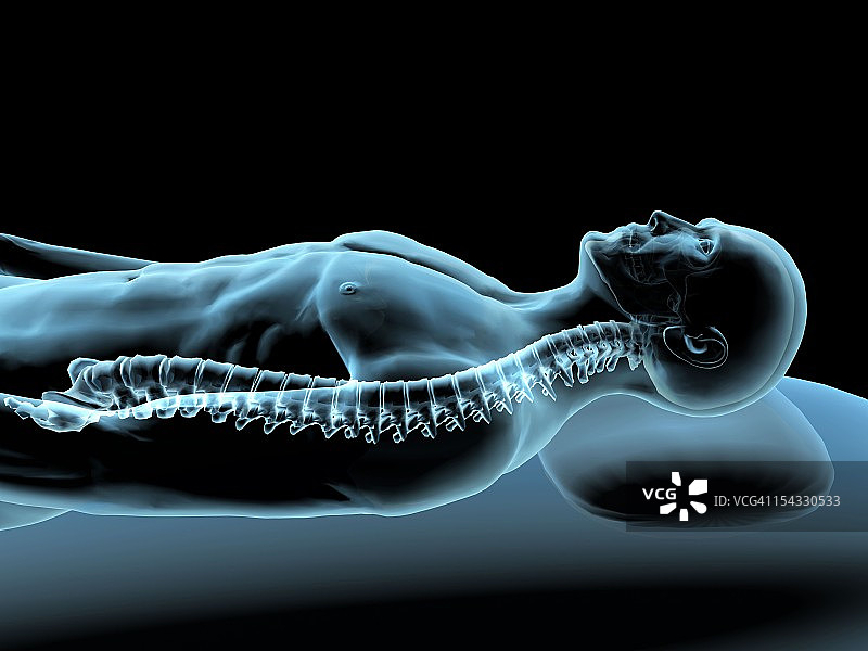 显示脊柱的男子休息X光图图片素材