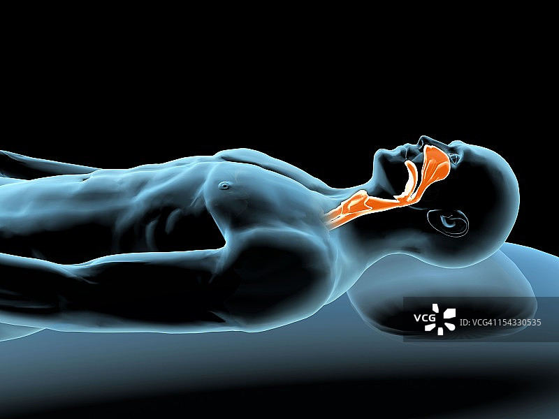 X光下的休息男子：突出显示鼻窦与喉咙图片素材