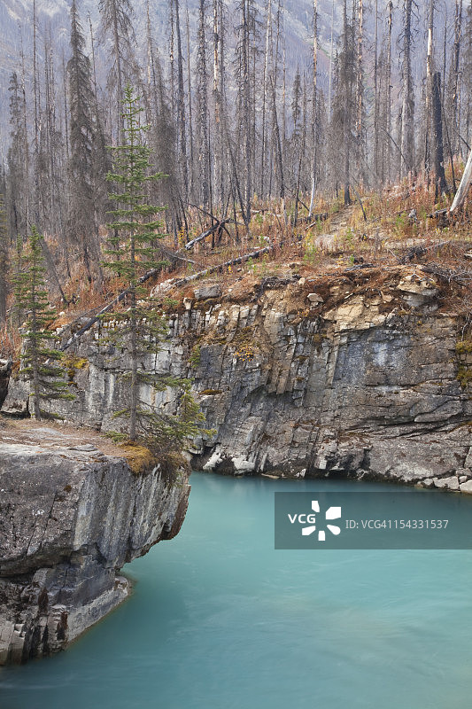 加拿大不列颠哥伦比亚省库特尼国家公园大理石峡谷库特尼河森林河流图片素材