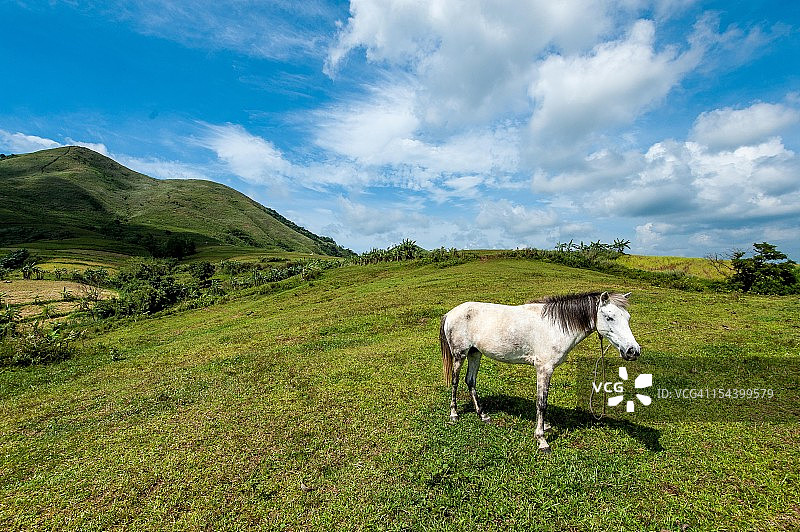 山脉与马图片素材
