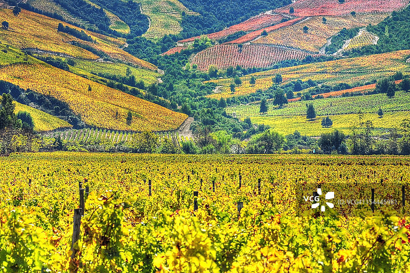 科尔查瓜山谷葡萄园（HDR）图片素材