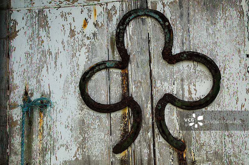 马蹄三叶草图片素材