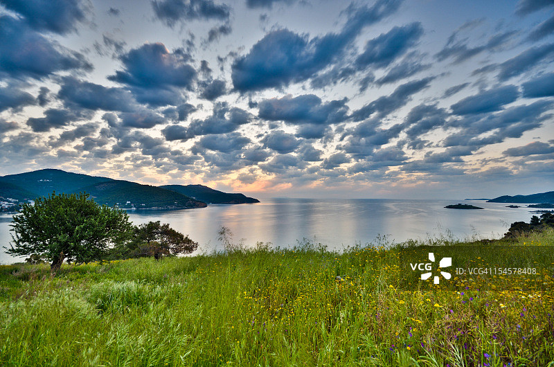 田野和海洋上的黎明图片素材