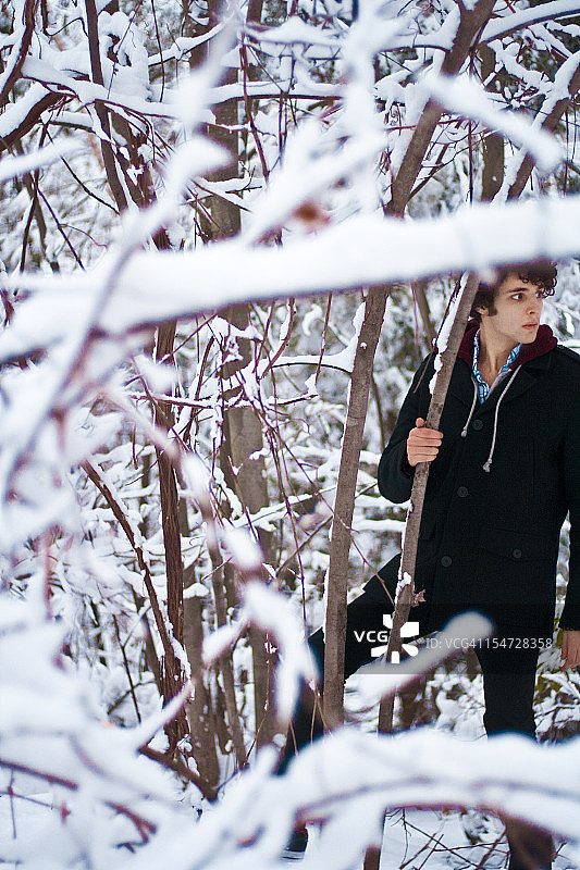 雪后漫步图片素材