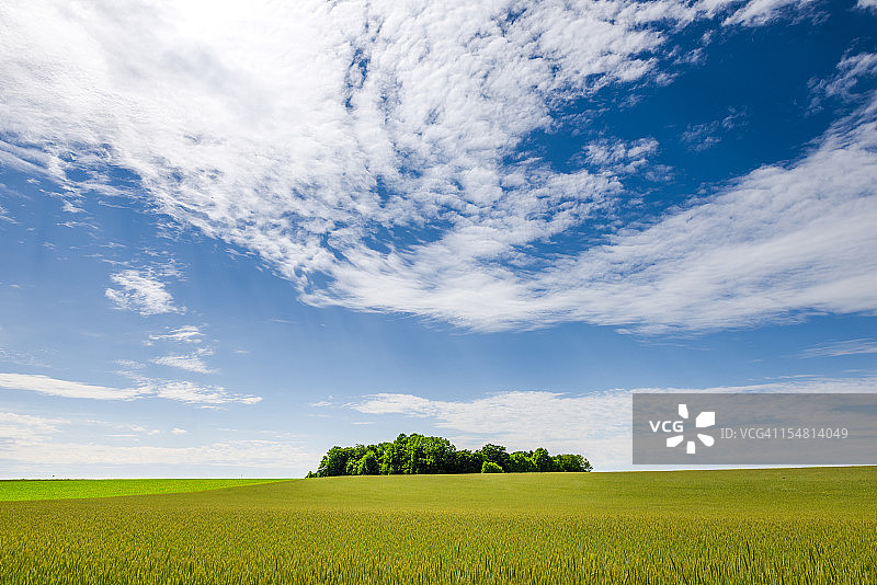 绿色的田野和蓝色的天空图片素材