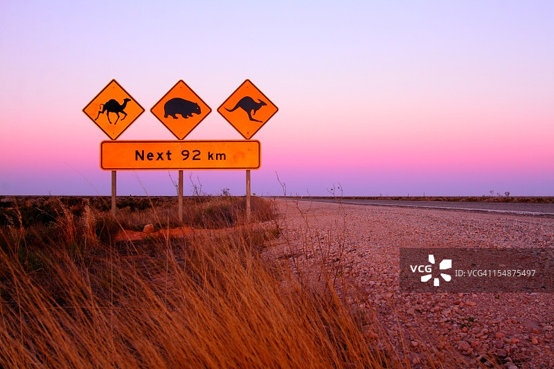 骆驼袋熊袋鼠标志图片素材