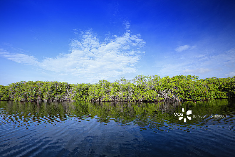 热带沿海泻湖上的红树林图片素材
