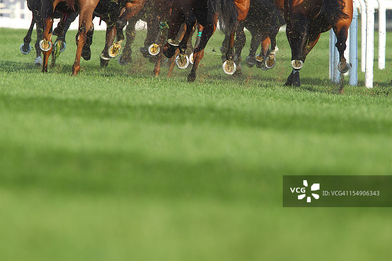 奔跑的马图片素材