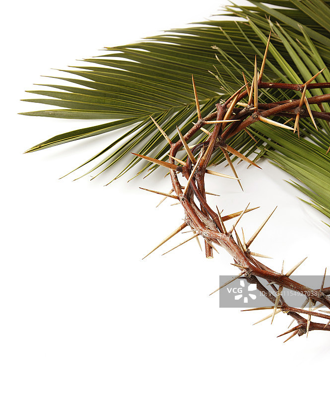 白色背景上的棕榈叶和荆棘冠图片素材